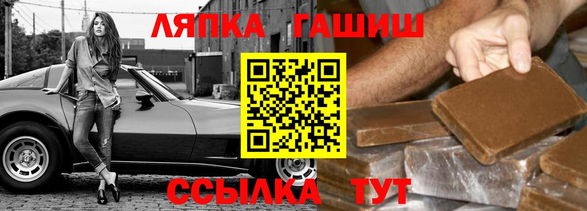 ГАШ гарик Тара