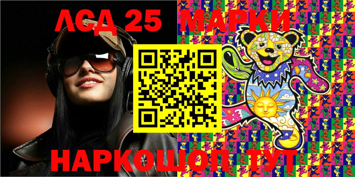 Псилоцибиновые грибы Тара