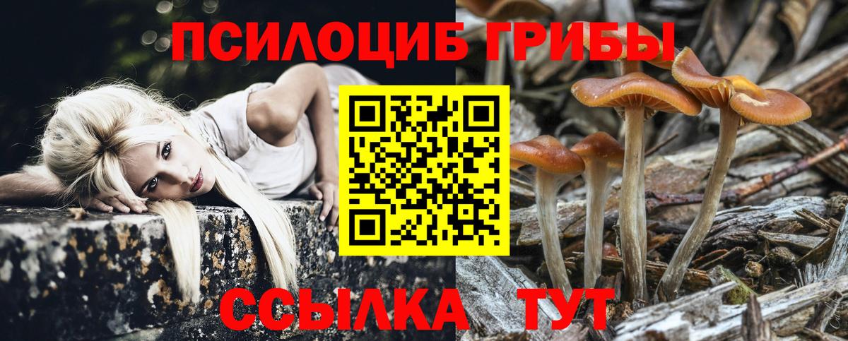 Галлюциногенные грибы прущие грибы Тара